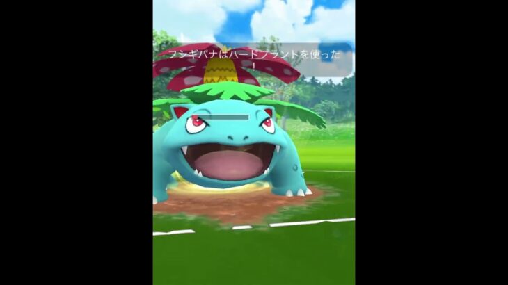 【ポケモンGOバトル#115】これで連勝記録伸ばしました✨さあ今すぐ上の🐸マークをタップして👍&チャンネル登録しよう！！ココチAチャンネルオリジナルポケモンGOバトル動画がいつでもどこでも見放題だ