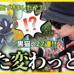 【ポケモンGO】おや…？おセルに異変が！？色違いヒスイニューラを狙う７タマ27連クイック！ちょマテオから「海外ギフト」を貰えるのかドッキドキなんですけどスペシャル！【ルートの上で】