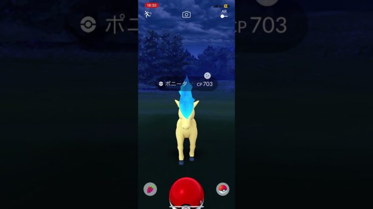 【ポケモンGO】もういらないよ？？3匹目の〇〇〇〇出現！？ #ポケモンgo色違い #pokemongo