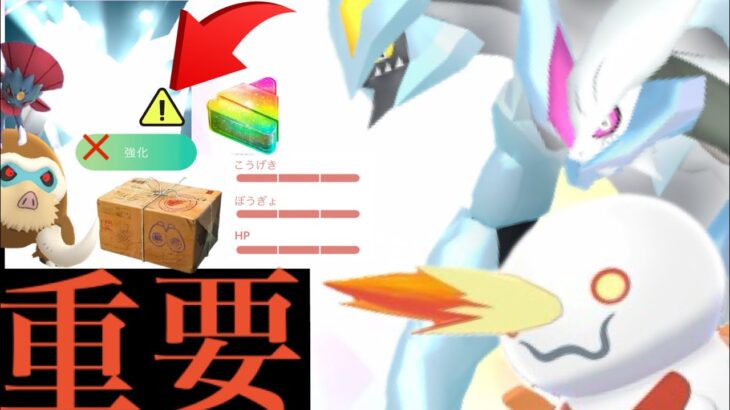 【あと数日間】緊急！今すぐに〇〇するのは待つべき！？あのフォルムチェンジや今後も大活躍のポケモンは今のうちに・・！【ポケモンGO・BWキュレム・アメＸＬ・色違いポケモン】