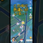 【ポケモンGO】コミュニティデイで色違いを探せ！#ポケモンGO#コミュニティデイ#色違いポケモン