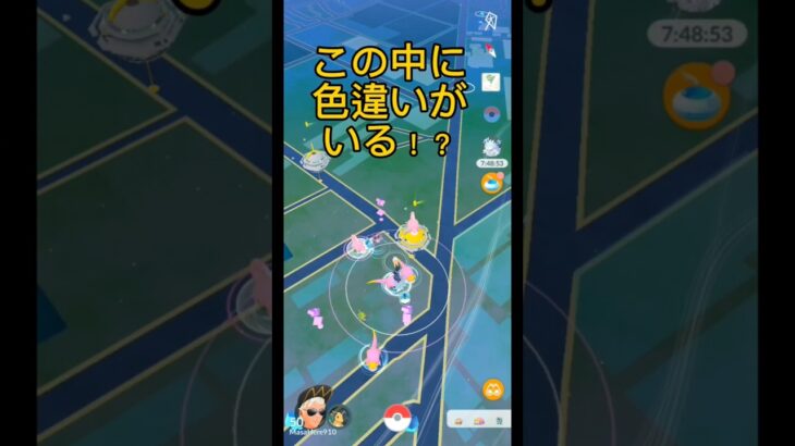 【ポケモンGO】コミュニティデイで色違いを探せ！#ポケモンGO#コミュニティデイ#色違いポケモン