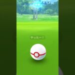 【ポケモンGOな日常】色違いオトシドリ！【ポケモンGO】