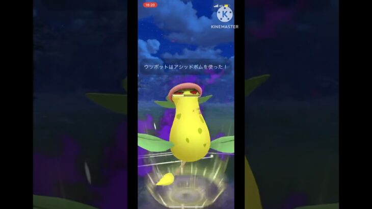 【ポケモンGO】視聴者さんから初手Sウツボットが強いと聞いたから使ってみた！(ホリデーカップ)#goバトルリーグ #ポケモンgo #ポケモン #shorts