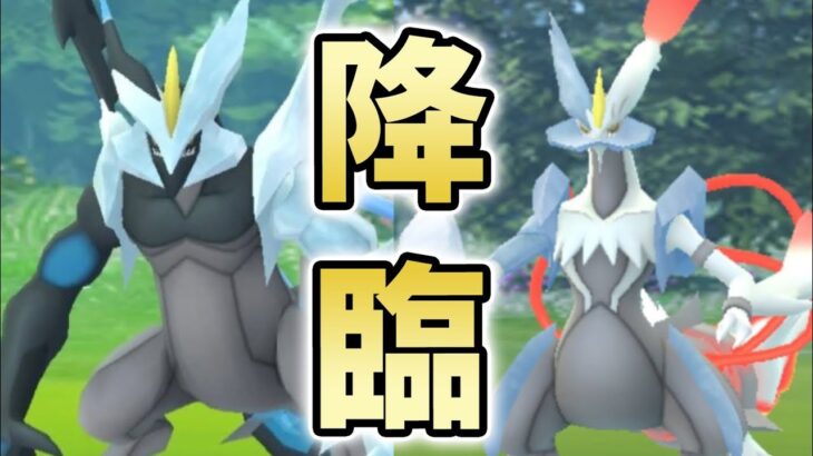 【ポケモンGO・速報】とんでもないサプライズきた！！まさかのブラックキュレムとホワイトキュレムの出現で今後の展開はどうなる・・？【コミュデイ・black kyurem ・フォルムチェンジ】