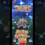 【ポケモンGO】念願の色違いカポエラーゲット！#ポケモンgo #ポケモン #pokemon #pokemongo #pokémon #shorts