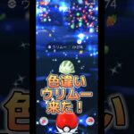 【ポケモンGO】色違いウリムー、イノムーゲット！イノムーの目が見える？#ポケモンgo #pokemongo #pokemon #ポケモン