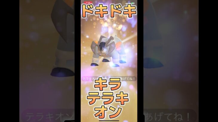 【ポケモンGO】キラテラキオン！個体値は？#ポケモンgo #pokemongo #pokemon #ポケモン #pokémon