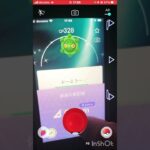 今日の色違いはなんだった？【ポケモンGO】#shorts #ポケモン #ショート