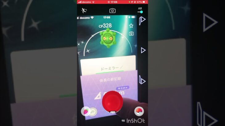 今日の色違いはなんだった？【ポケモンGO】#shorts #ポケモン #ショート