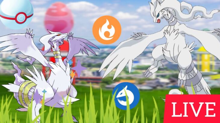 POKÉMON GO LIVE 🔴| ✨ Legendary Birds ✨ Raids Invite 🙂 LET’S GO