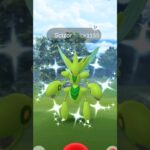 When I got a strong shiny bug in wild….. 😳 Pokemon go