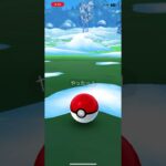 クリスマスいつまで（ネタ）#ポケモンgo