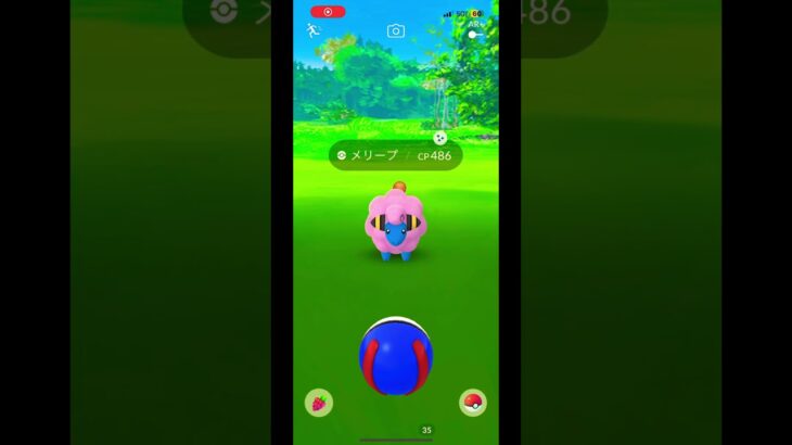 #ポケモンgo色違い ポケモンGO色違いタマザラシ