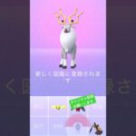 🎁ちょーだい #ポケモンgo #ポケgo #ポケモン #pokemongo #pokemon #pokémon #アヤシシ #レイド #図鑑 #チャンネル登録お願いします #shorts #xmas