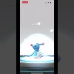 ポケモンgo アシレーヌに進化させてみた　アシマリ　オシャマリ　アシレーヌ　#pokemongo