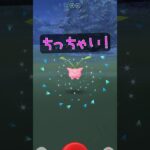 ちっちゃい！ハネッコ♫ #ポケモンgo #pokemongo