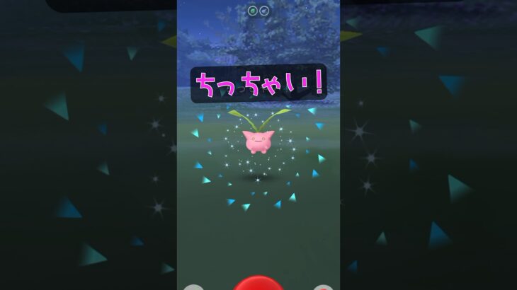 ちっちゃい！ハネッコ♫ #ポケモンgo #pokemongo