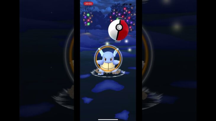 ポケモンgo 野生のカメールゲットチャレンジ　クリスマス　#pokemongo