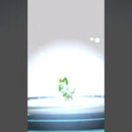 【 ポケモンgo 】ニャオハ 進化シーン！癖丸出し趣味ショート！鳴き方がかわいいんだよね 【 うさぴよの巣 】 #pokémongo #ポケモンgo #ニャオハ #sprigatito