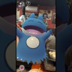 ゴンベ初めてのサムギョプサル！たくさん食べました！#japan #ポケモンgo #short #shorts #韓国料理 #四街道