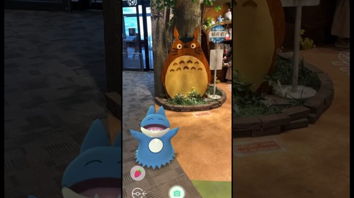 ゴンベ！ついにトトロに会う！？ #pokemon #ポケgo #ポケモン #ポケモンgo #トトロ #ジブリ #totoro #shorts #short
