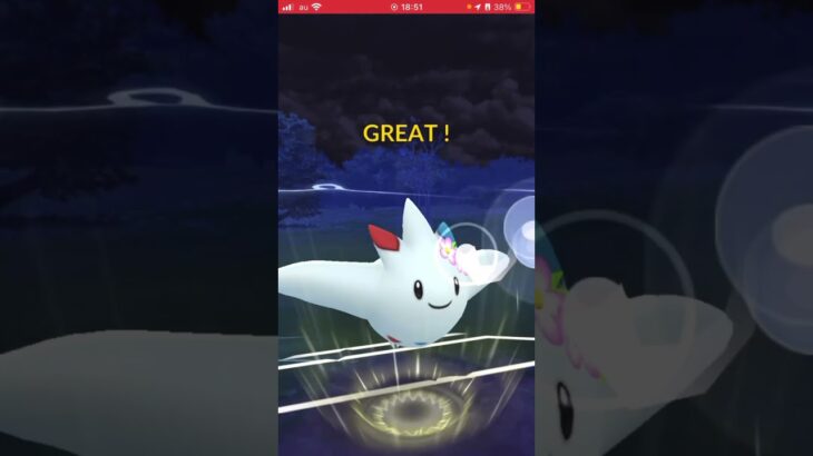 編成間違えたw #ポケモンgoバトルリーグ