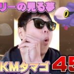 タマゴ45連でアブリーラッシュ！【ポケモンGO】