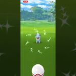 色違い黄昏イワンコGETの瞬間。【ポケモンGO】580の裏側