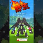 【ポケモンGO】野生のジガルデ小さいバージョンゲット！久々の彼も元気そうでなにより！ #こうせいちゃんねる