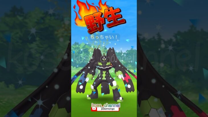 【ポケモンGO】野生のジガルデ小さいバージョンゲット！久々の彼も元気そうでなにより！ #こうせいちゃんねる