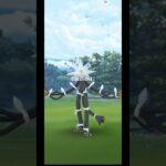 オーストラリア産デンジュモク【ポケモンGO】