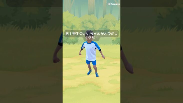 ポケモンGOやってみた！