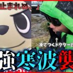 【ポケモンGO】色違えヤンチャム！最強寒波の中で魅せる傾奇者！大雪警報も発令された嵐の中で輝くのは「この俺だ」スペシャル！【はがねのバトル】