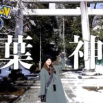 数量限定?! 青葉神社に駆け込んできました!!【ポケモンGO】