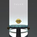 【ポケモンGO】色違いのクヌギダマ進化させたら見た目の可愛さより怖さのほうが勝ってんじゃね！？