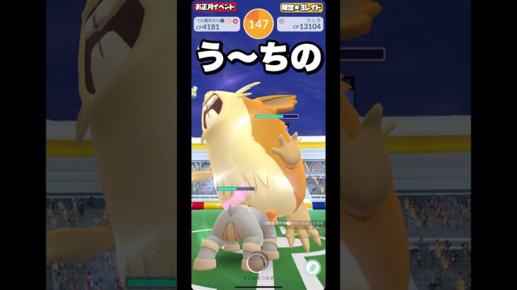 【ポケモンGO】えッ。ラッタってこんなに可愛いかったの？