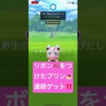 新春イベント　リボン🎀をつけたプリン🍮‼️  連続ゲット‼️  ポケモンGO