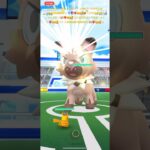 ✨【世界一可愛い闘い】【クリスタルピカ一家】【ポケモンGO】✨🤲🏼❤️‍🔥☺️🥰✨見逃し厳禁の可愛い色違い✨華麗なるクリスタルピカ７ちゃん達✨ＶＳ✨イワンコちゃんと闘い✨可愛いです✨📹🥰✨