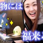 一夜漬けしたタマゴとタスク色違い黄昏イワンコ出るか？【ポケモンGO】