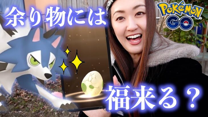 一夜漬けしたタマゴとタスク色違い黄昏イワンコ出るか？【ポケモンGO】