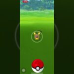 ポケモンGO❗️色違い🌟デデンネ出現😆