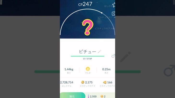 【ポケモンGO】これはバグ？ピチューが見えない。。。 #ポケモンgo #pokemongo #バグ