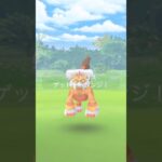 伝説のポケモンをゲットしろ！ランドロス編 　#ポケモンGO　　#ランドロス 　#shorts  #ポケモン #ゆっくり実況