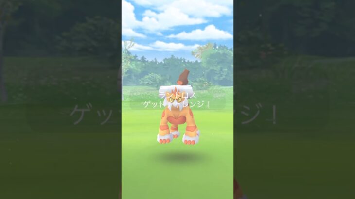 伝説のポケモンをゲットしろ！ランドロス編 　#ポケモンGO　　#ランドロス 　#shorts  #ポケモン #ゆっくり実況