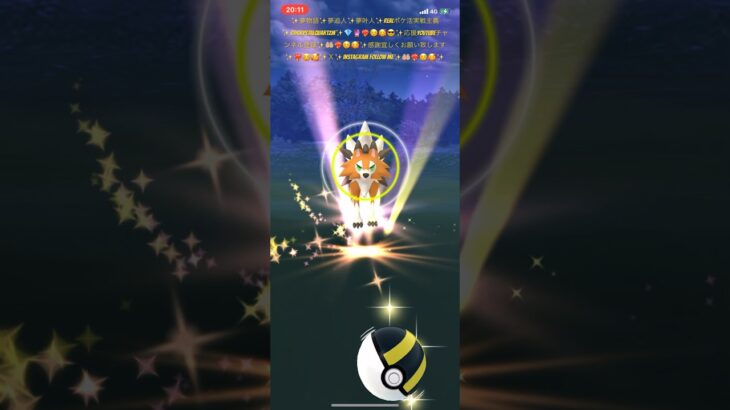 ✨【見逃し厳禁】【世界初】【大スクープ】【ポケモンGO】✨一匹狼の男✨🐺😎✨素晴らしい神引き✨野生ルガルガンたそがれ姿ちゃんが逢いに来て✨笑顔をくれたよ🐺🥰🙈✨ #youtubeshorts