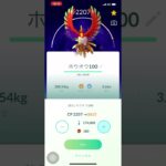 ポケモンGO❗️個体値100%🤩SホウオウをMAX強化〜💪😇超〜嬉しい〜🥳