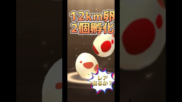 【ポケモンGO】12km卵2個孵化レア出るか？ #ポケモンgo #pokemongo #pokémongo #ポケモン