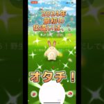 【ポケモンGO】2024年最初の色違いは、、オタチでした！#ポケモンgo #pokemongo #ポケモン #pokemon