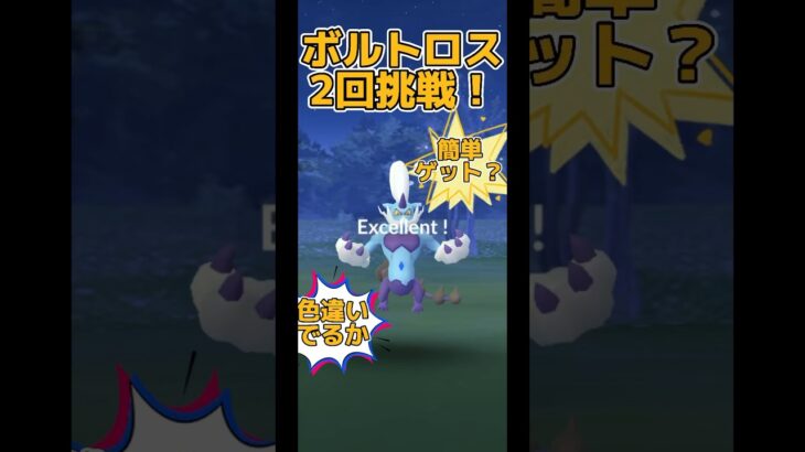 【ポケモンGO】ボルトロス2回挑戦！色違いでるか？#ポケモンgo #pokemongo #pokémongo #shorts